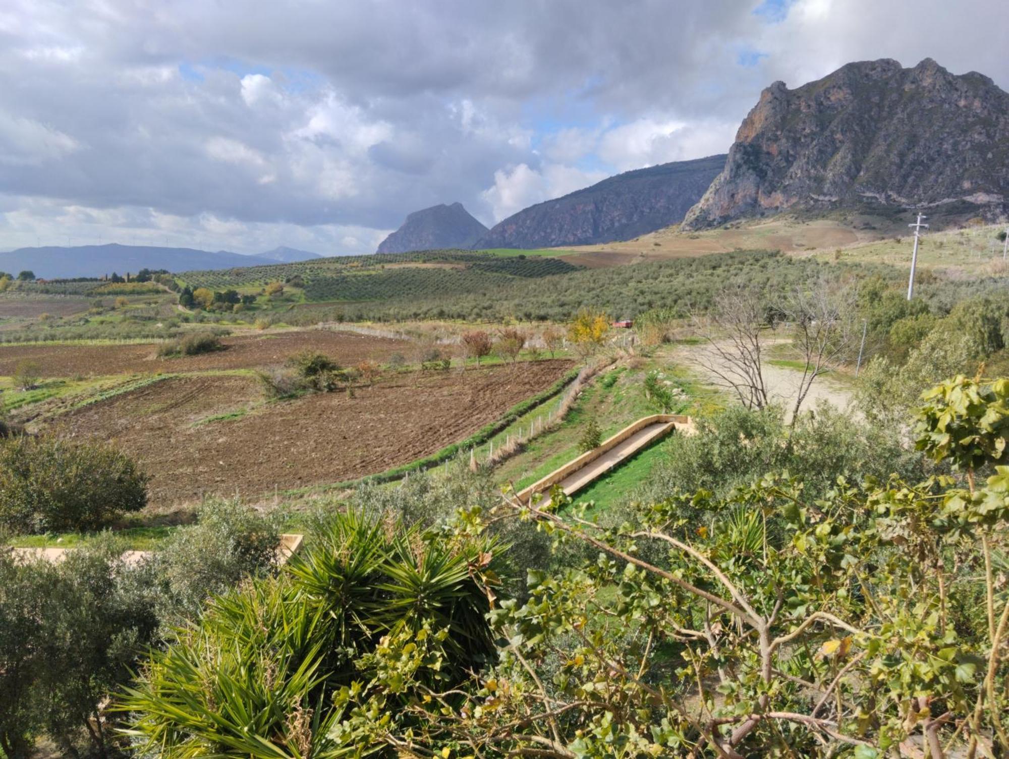 Agriturismo Masseria La Chiusa San Giuseppe Jato Ngoại thất bức ảnh